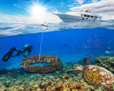 Safe Anchorage Systems minimize potential coral damage